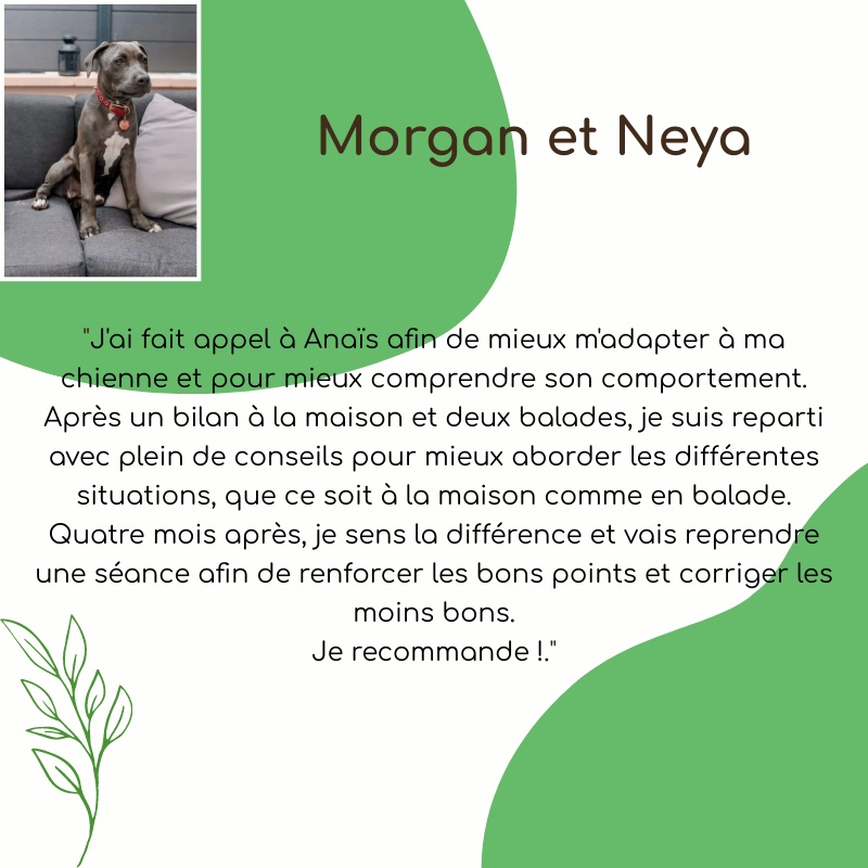 Morgan (Neya)