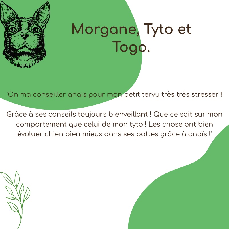 (COPY) Billet visuel carré 800x800 px