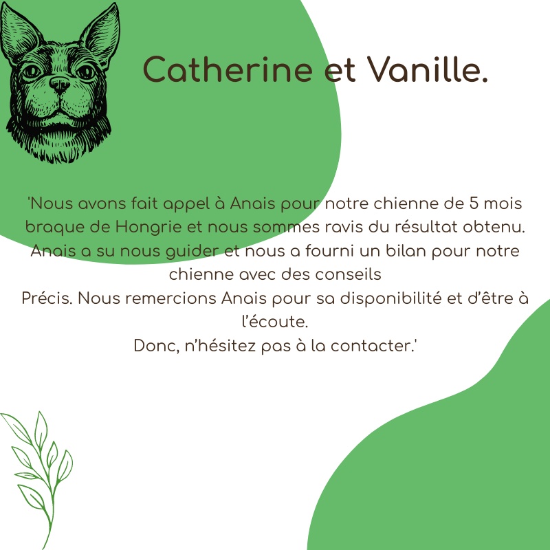 (COPY) Billet visuel carré 800x800 px(2)