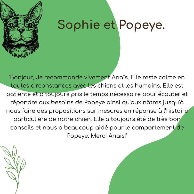 (COPY) Billet visuel carré 800x800 px(3)