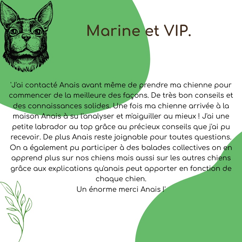 (COPY) Billet visuel carré 800x800 px(4)