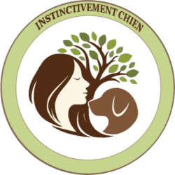 WhatsApp Image 2026-02-14 at 14.55.29-modified(1)